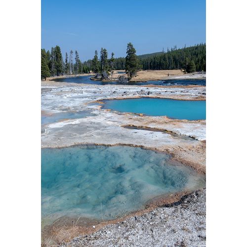 Hopkins, Cindy Miller 아티스트의 USA-Wyoming-Yellowstone National Park-Biscuit Basin-Black Diamond Pool작품입니다.
